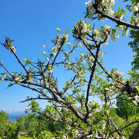 Paul's House Saltstraumen