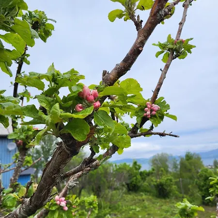 Paul's House Holiday home *