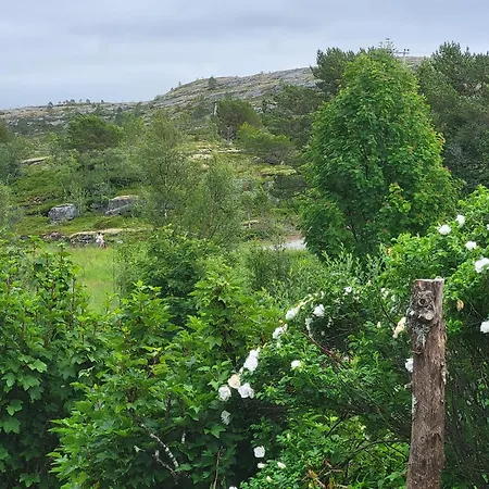 Paul's House * Saltstraumen