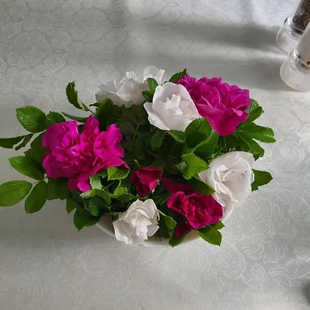 Holiday home Paul's House