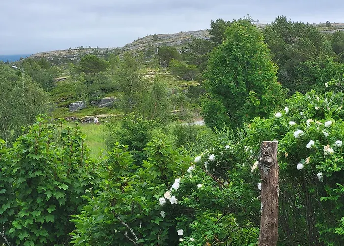Paul's House * Saltstraumen